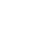 dollar icon