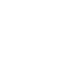 Star badge