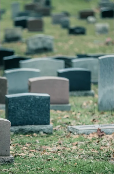 A tranquil cemetery scene featuring numerous gravestones of varying shapes and colors, set on a grassy landscape with fallen leaves.